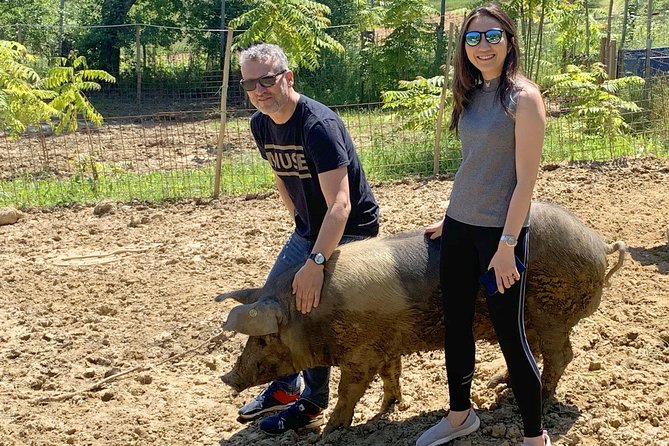 Visit to the Cinta Senese farm in Montepulciano - What arrives at the Tuscan table