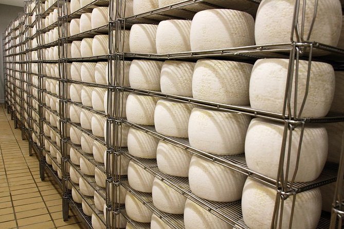 Visit to the dairy - Who will enjoy this experience most