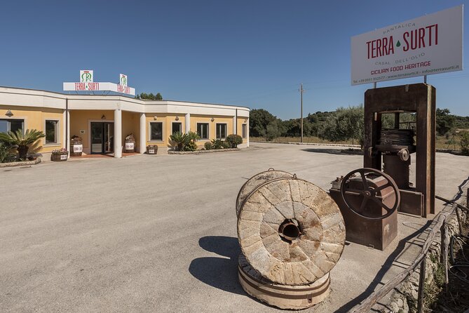 Visit to the olive grove, oil tasting and lunch at the farm - Weather and timing can change the plan