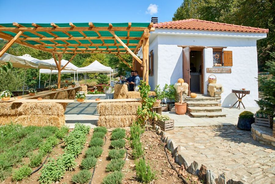 Volos: Cook Like a Local at a Greek Farm - Starting at Karaiskos Farm near Portaria