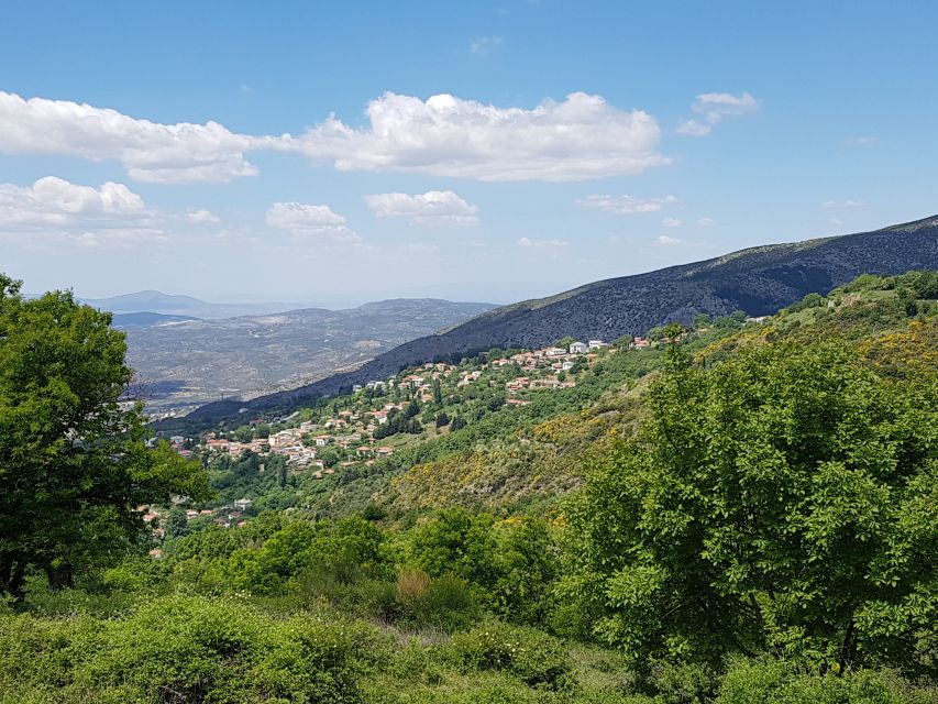Volos: Cook Like a Local at a Greek Farm - Cooking beside the wood-fired oven