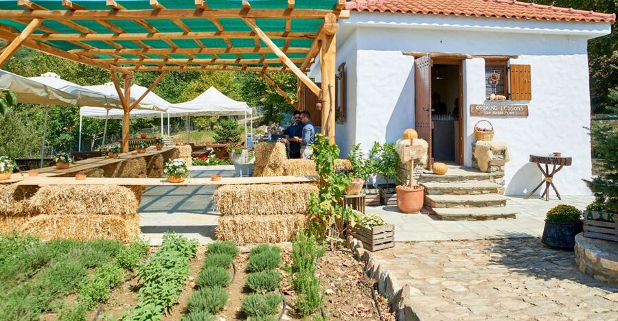 Volos: Cook Like a Local at a Greek Farm - The small gifts at the end