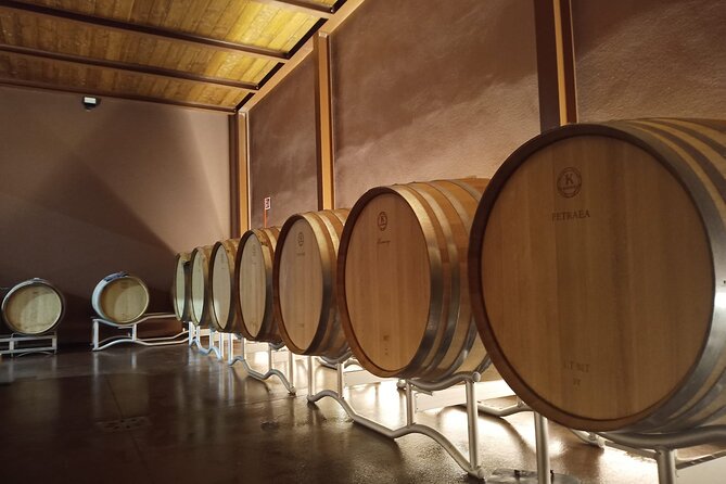 Volterra wines, sensory emotions of organic farming - Key points to know before you go