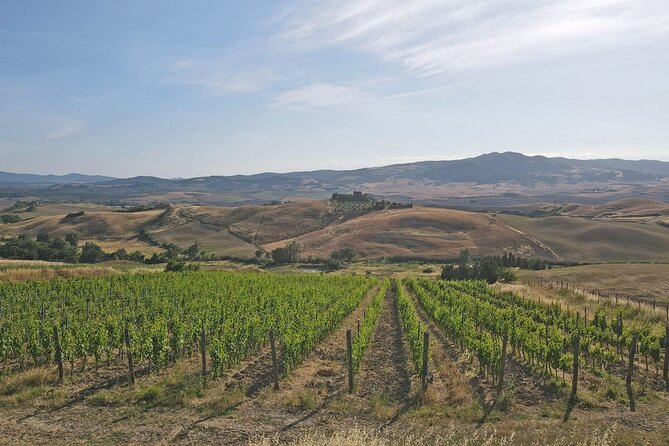 Volterra wines, sensory emotions of organic farming - Entering the Terre De’ Pepi cellar