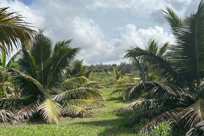 Waipi’o on Horseback: Mountain Ocean Views Working Cattle Ranch - Who should book this ranch ride?