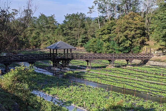 Wasabi Farm Walking Tour & Lunch - Why Daio Wasabi Farm is worth your time