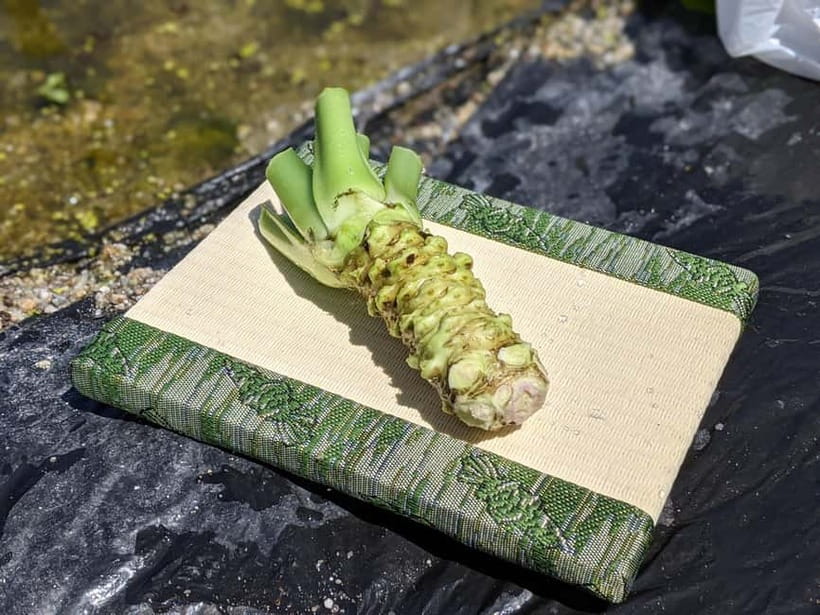Wasabi Farm Walking Tour with Lunch - Practical details that affect your day