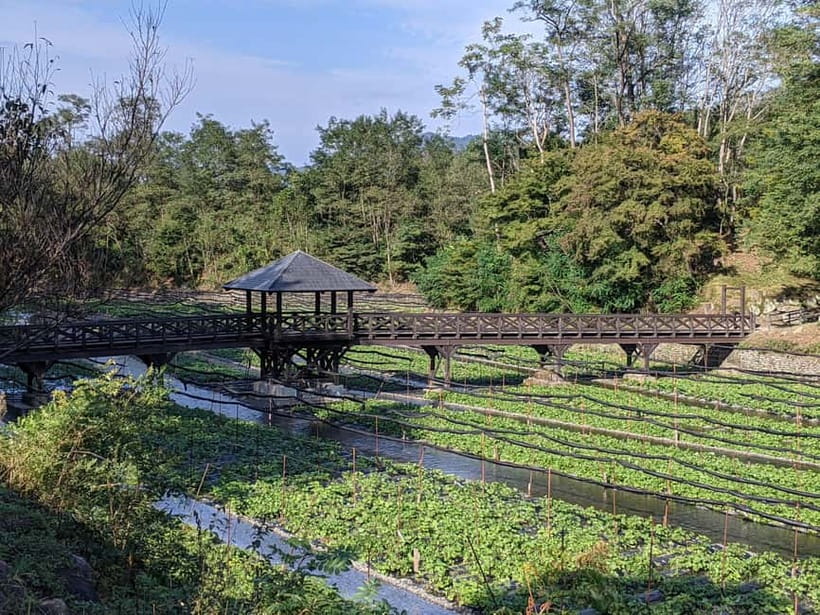 Wasabi Farm Walking Tour with Lunch - Reaching Daio Wasabi Farm from Matsumoto
