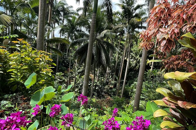 Welchman Hall Gully, Hunte’s Garden and Peg Farm Family Day - Family suitability and fitness needs