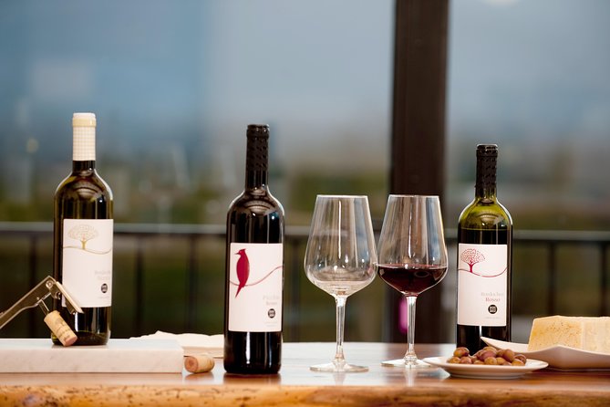 Wine and olive oil tasting & farm tour - Five wines, olive oil, bread, and cheese