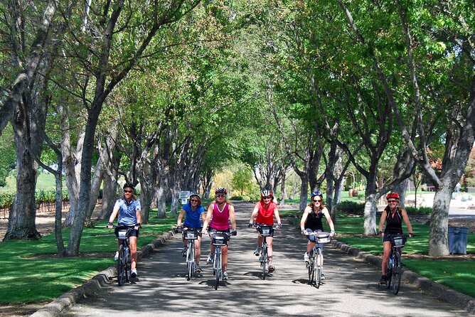 Wine Country Farm to Table Bike Tour w/Lunch - Bike quality and the one real warning