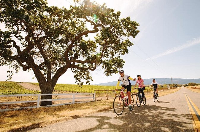 Wine Country Farm to Table Bike Tour w/Lunch - What the $175 price really covers
