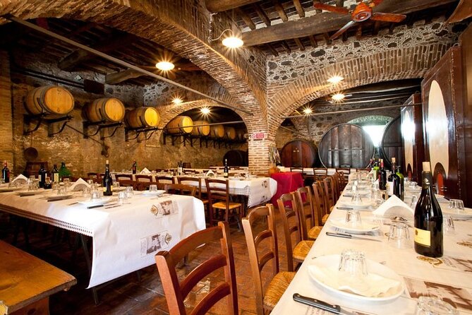 Wine Experience in farm vineyard & winery from Montecatini T. - What makes this Tuscan wine outing worth considering