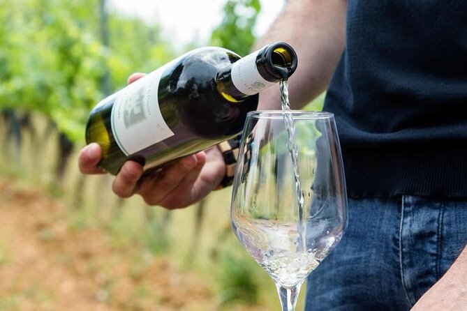 Wine Experience in farm vineyard & winery from Montecatini T. - The tasting: six wines, dessert wine, and grappa