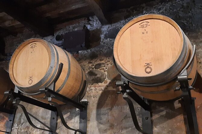 Wine Experience in farm vineyard & winery from Montecatini T. - A Tuscan lunch with more substance than expected