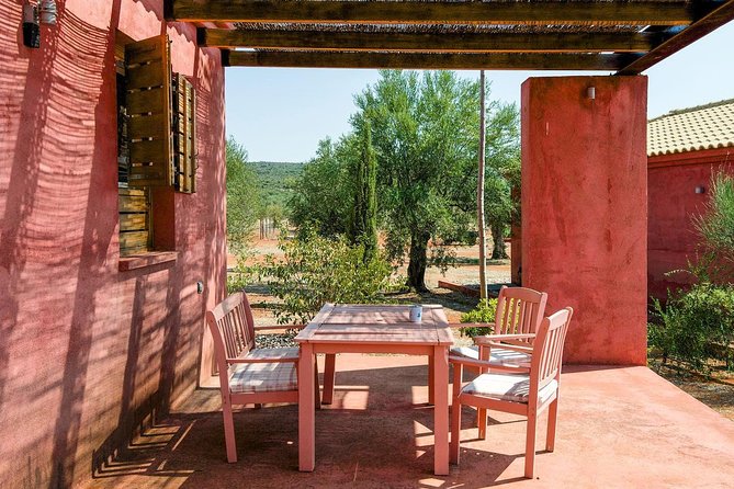 WIne & Olive Oil Tasting in an Organic Farm in Laconia, Greece! - Why this farm visit is worth the long ride