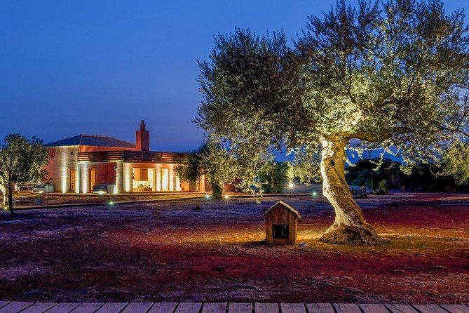 WIne & Olive Oil Tasting in an Organic Farm in Laconia, Greece! - Meeting Greek grapes beyond the usual names