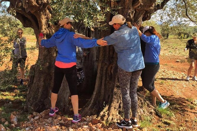 WIne & Olive Oil Tasting in an Organic Farm in Laconia, Greece! - Who should book this private tasting?