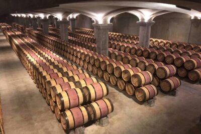 Wine Tasting and lavender Farm Tours