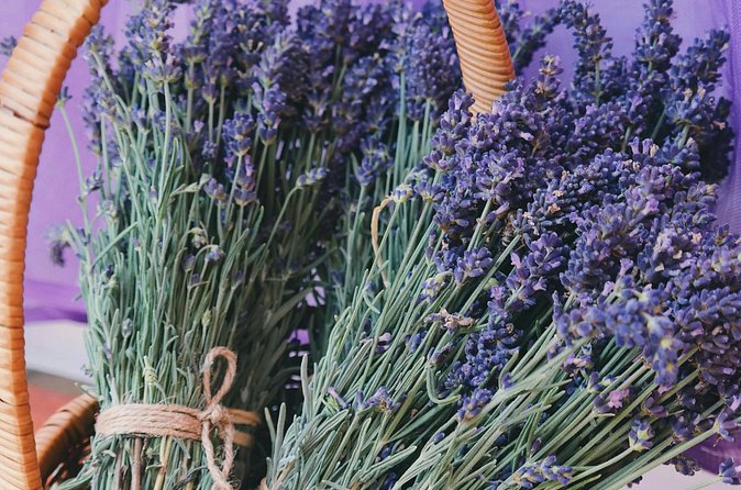 Wine Tasting and lavender Farm Tours - The lavender farm brings a calmer final stop