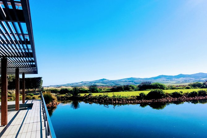 Wine tasting - Boutique farms - Wine education without the classroom feeling