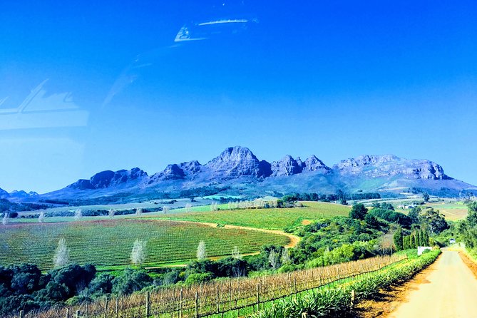 Wine tasting - Boutique farms - Is $233.87 per person good value?