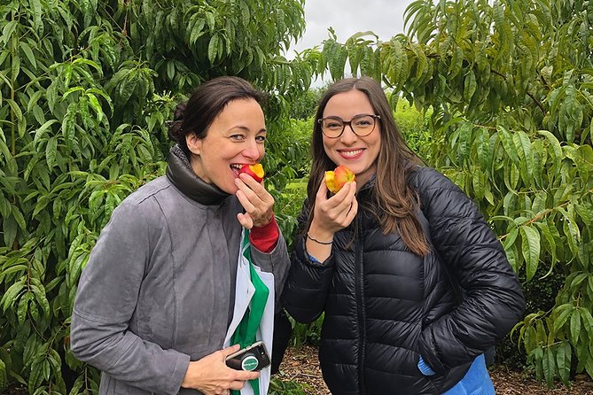 Wine Tasting, Cape Dutch Farm and Art Day Tour from Cape Town - Why the small group matters on an eight-hour day