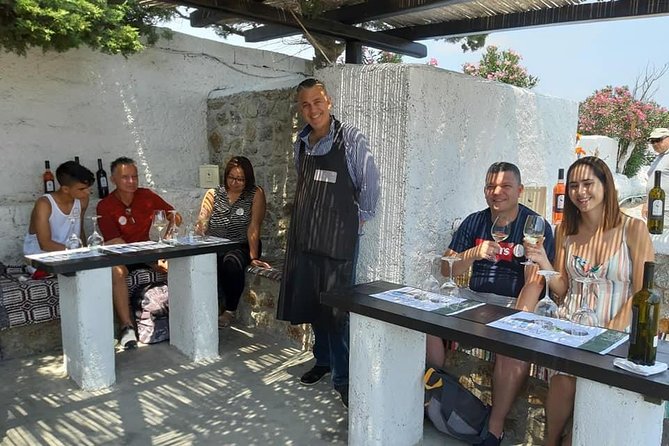 Wine Tasting Tour at a traditional farm in Mykonos - Choosing noon or 6 p.m.