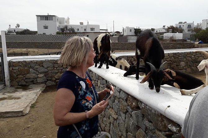Wine Tasting Tour at a traditional farm in Mykonos - Who will enjoy this Mykonos wine tasting?