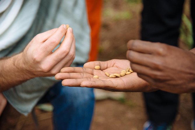 Women-led Coffee Farm Trek - Why this coffee outing matters in Rwanda