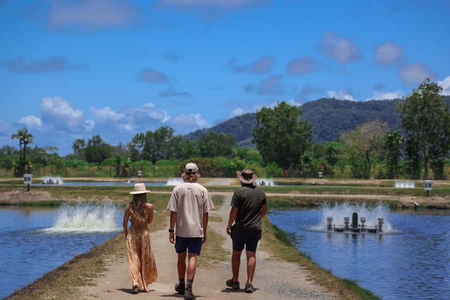 Wonga: Guided Fishing, Farming and Tasting Tour - Starting at the Daintree Saltwater Barramundi Farm