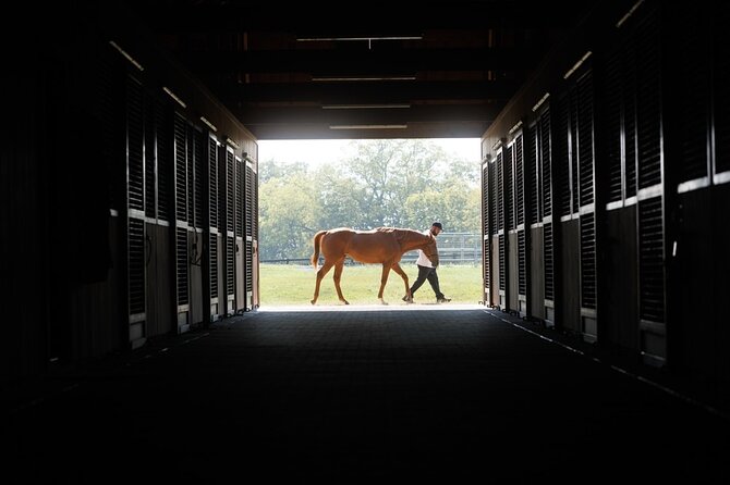 Woodford Reserve, Kismet Thoroughbred Farm & Whiskey Thief - Kismet Thoroughbred Farm adds the human touch