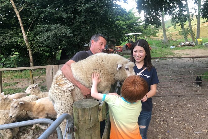 Wool Sheep Farm Experience with Handmade Wool Hat in New Zealand - Key points at a glance