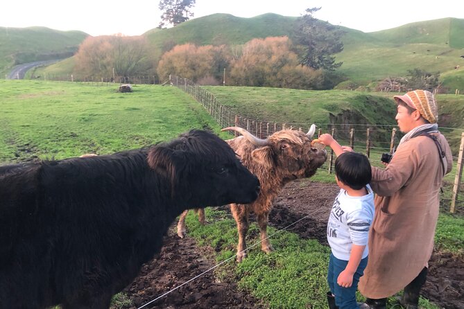 Wool Sheep Farm Experience with Handmade Wool Hat in New Zealand - Choosing your handmade wool hat