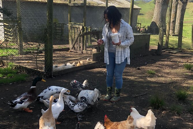 Wool Sheep Farm Experience with Handmade Wool Hat in New Zealand - From shorn fleece to usable wool