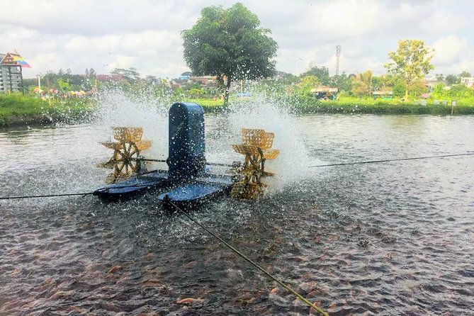 Yogyakarta Cycling Tour Around the Villages and Fish Farm - What the guide adds to the day