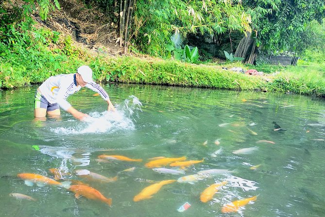 Yogyakarta Cycling Tour Around the Villages and Fish Farm - Is $23 good value?