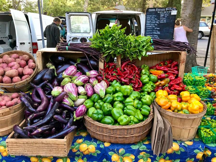 Yolo: Vineyards, Farms & Cultural Gems - Audio Driving Tour - Stories, songs, and a sense of place