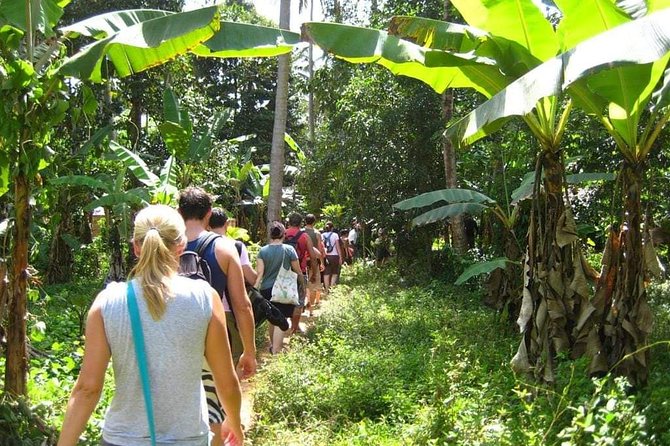 Zanzibar Aromatic Spice Farms Tour - Why a spice farm belongs on your Zanzibar itinerary