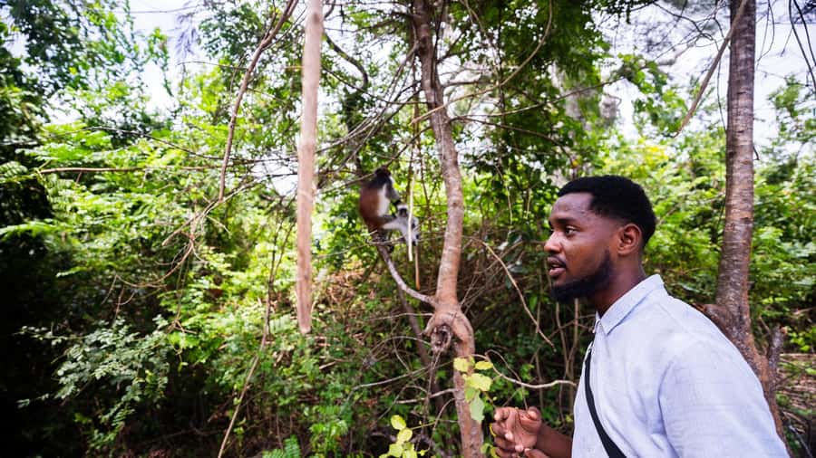 Zanzibar: Day Jozani Forest,Spice Farm,Nature and Savor Tour - Why this Zanzibar day tour works