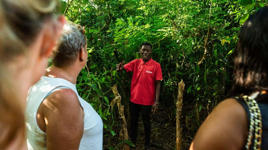 Zanzibar: Day Jozani Forest,Spice Farm,Nature and Savor Tour - FAQ