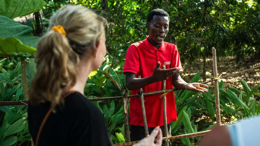 Zanzibar: Half-Day Spice Farm Tour,the flavours of Zanzibar - Key points to know before you book