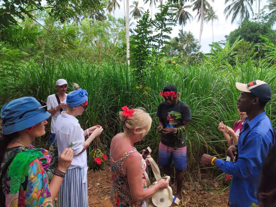 Zanzibar: Half-Day Spice Farm Tour,the flavours of Zanzibar - The fruit tasting, with jackfruit as the star