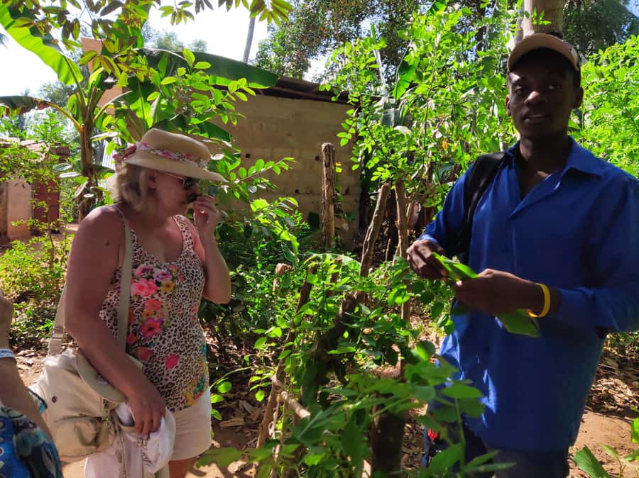Zanzibar: Half-Day Spice Farm Tour,the flavours of Zanzibar - Local products and the shopping question