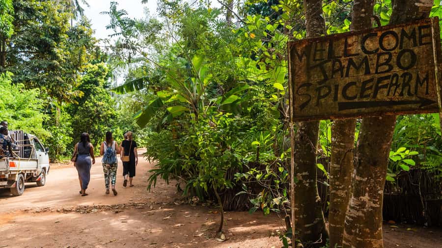 Zanzibar: Half-Day Spice Farm Tour,the flavours of Zanzibar - The van ride from your hotel