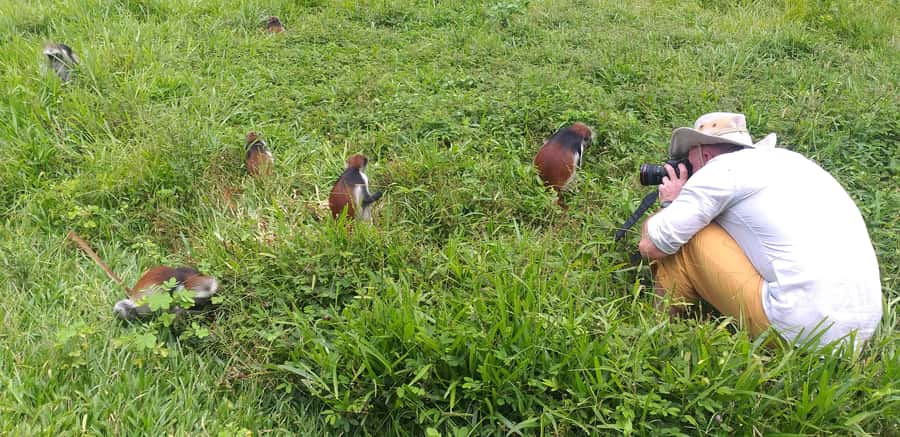 Zanzibar: Jozani Chwaka Bay National Park and Spice Farm … - Why combine Jozani forest with a spice farm?