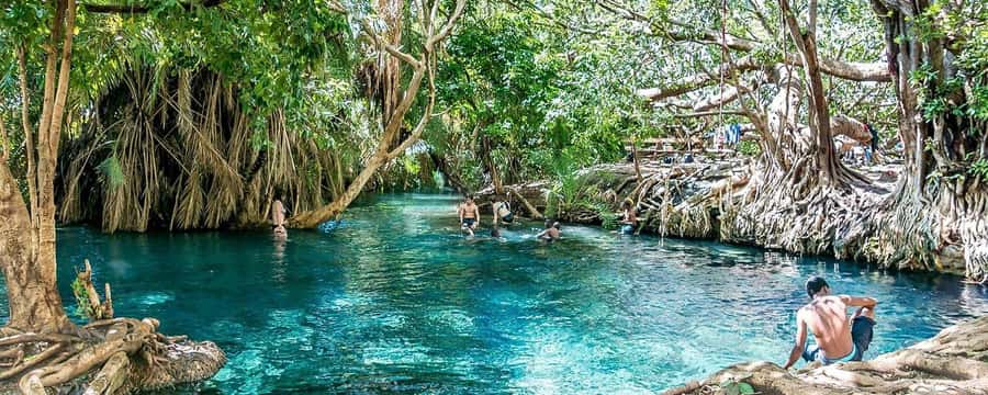 Zanzibar: Jozani Forest and Spice Farm Tour with Transfer - Meeting Zanzibar’s spice farms