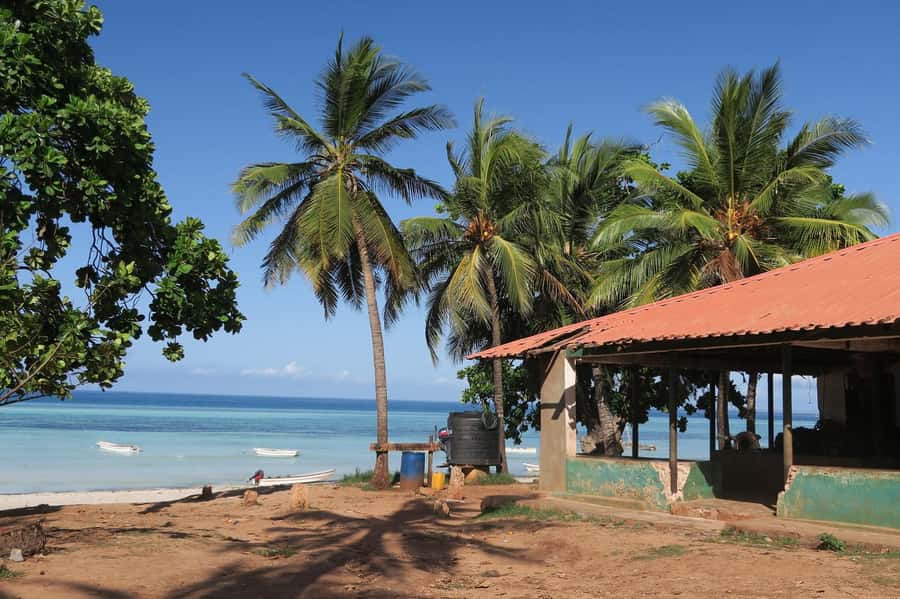 Zanzibar: Jozani Forest and Spice Farm Tour with Transfer - Practical preparation for the day