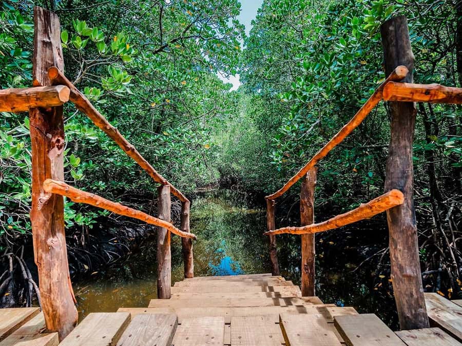 Zanzibar: Jozani Forest and Spice Farm Tour with Transfer - FAQ
