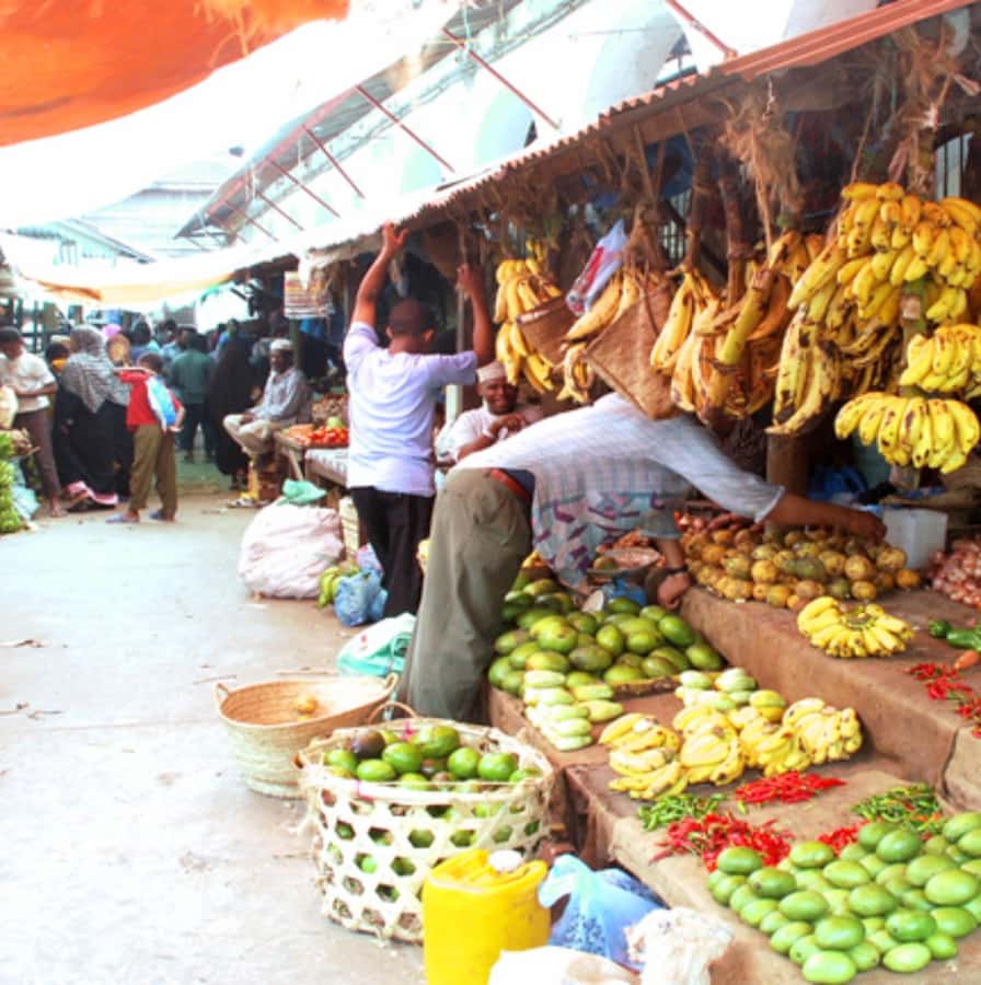 Zanzibar: Jozani Forest, Spice Farms, & Stone Town tour - Guide quality and language choices